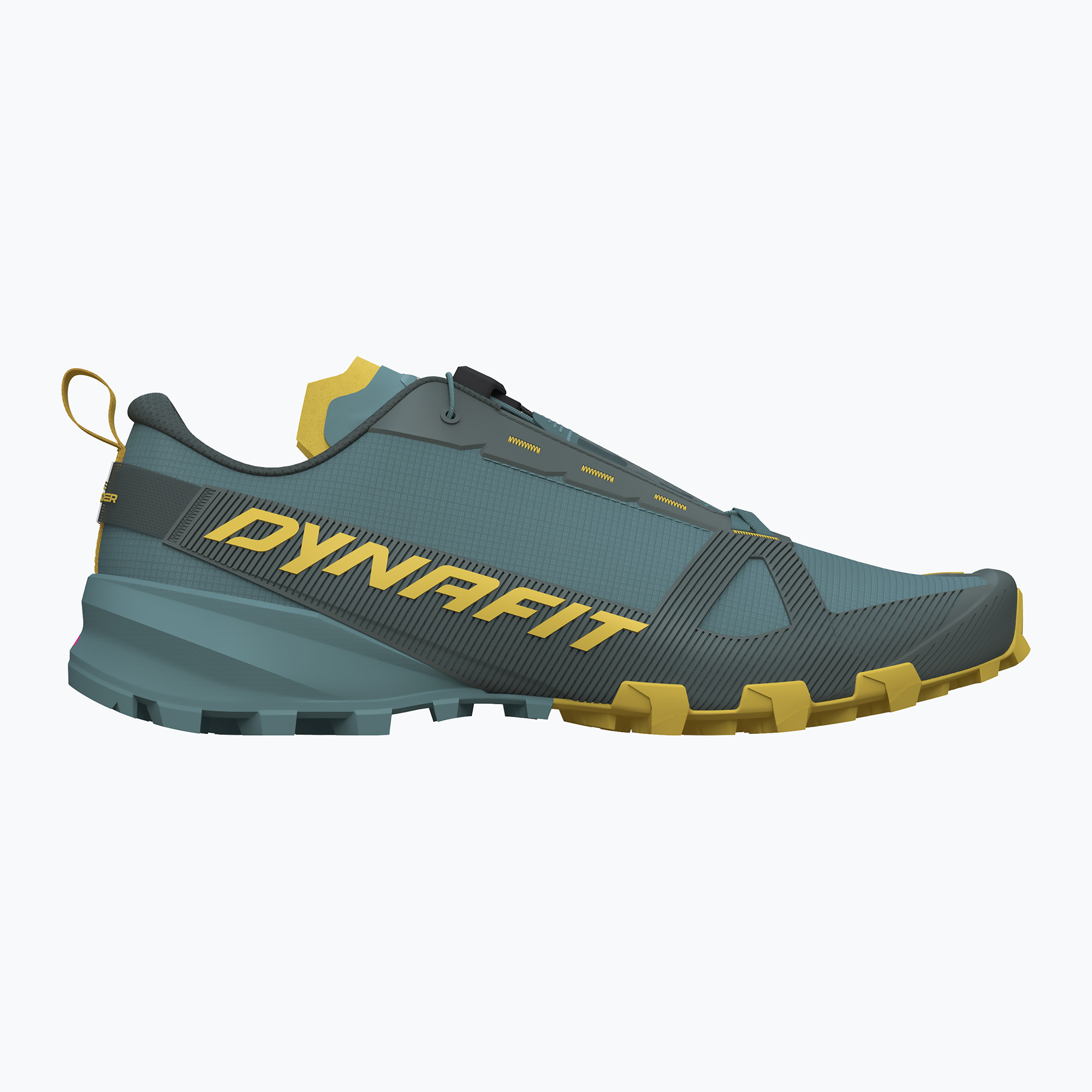 Buty do biegania męskie DYNAFIT Traverse GTX lichen/atlantic | WYSYŁKA W 24H | 30 DNI NA ZWROT