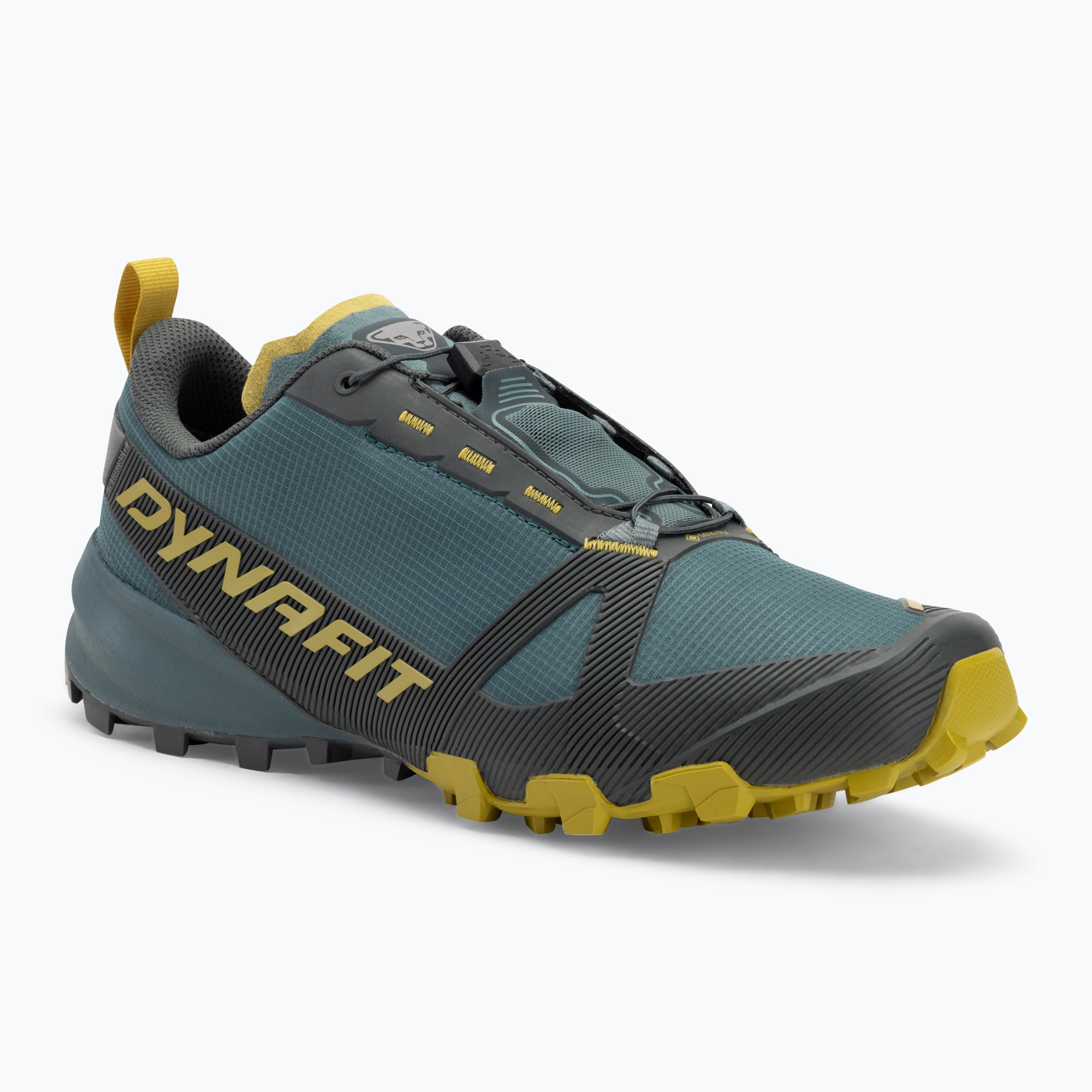 Buty do biegania męskie DYNAFIT Traverse GTX lichen/atlantic 