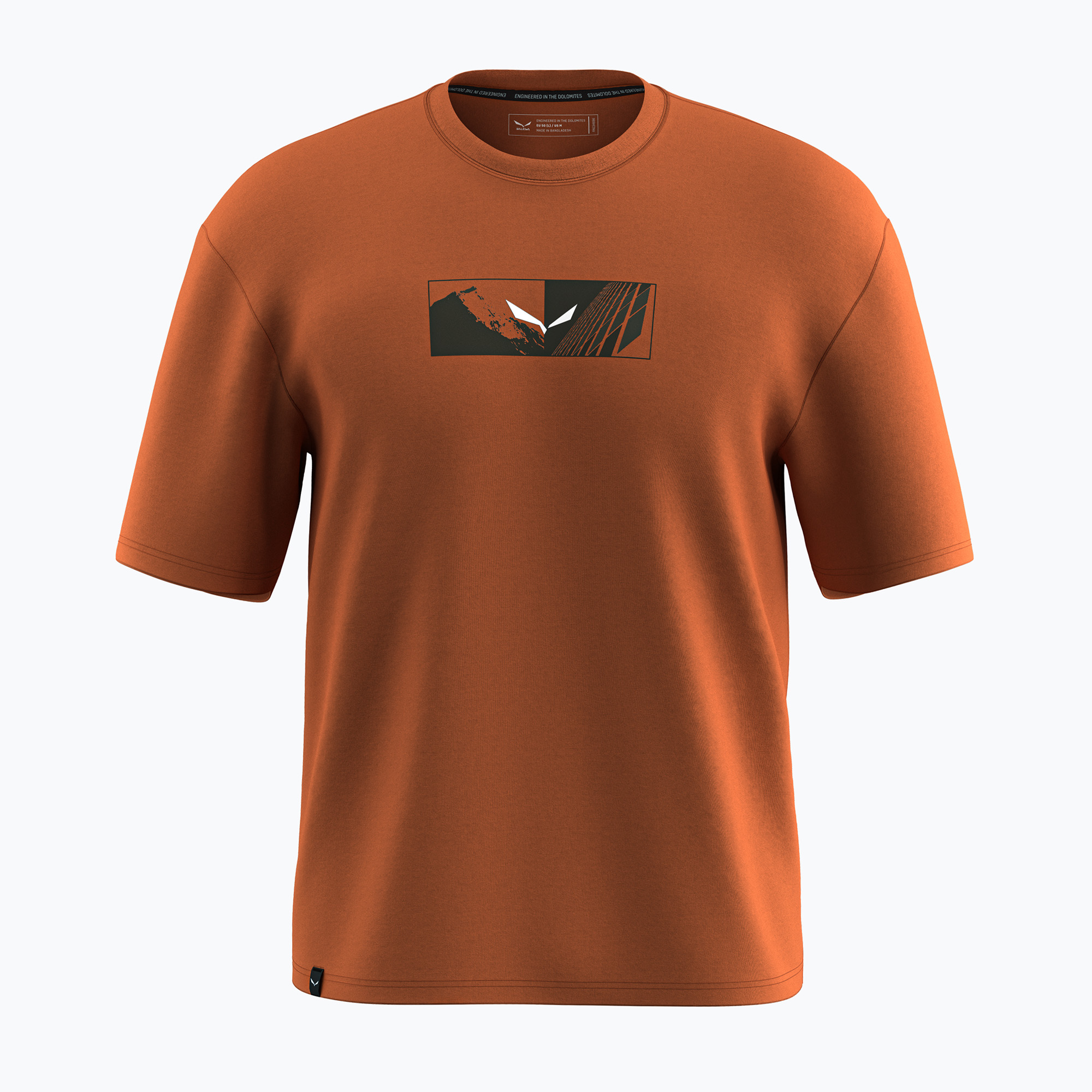 Koszulka męska Salewa Eagle Hybrid Loose bombay brown 