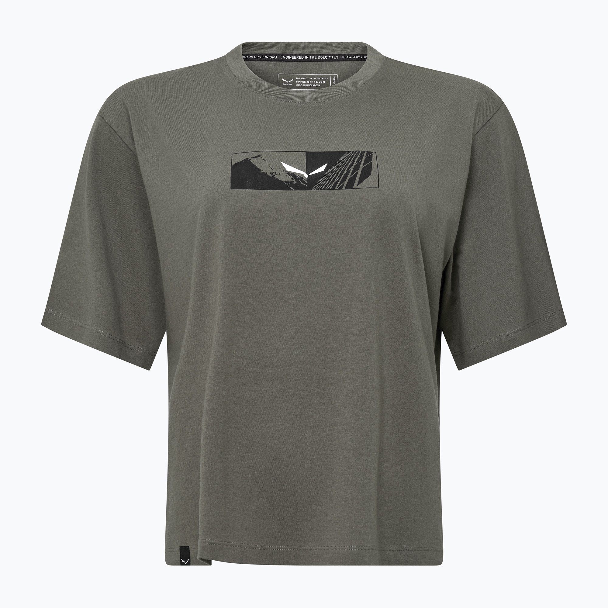 Koszulka damska Salewa Eagle Hybrid Loose faded green 