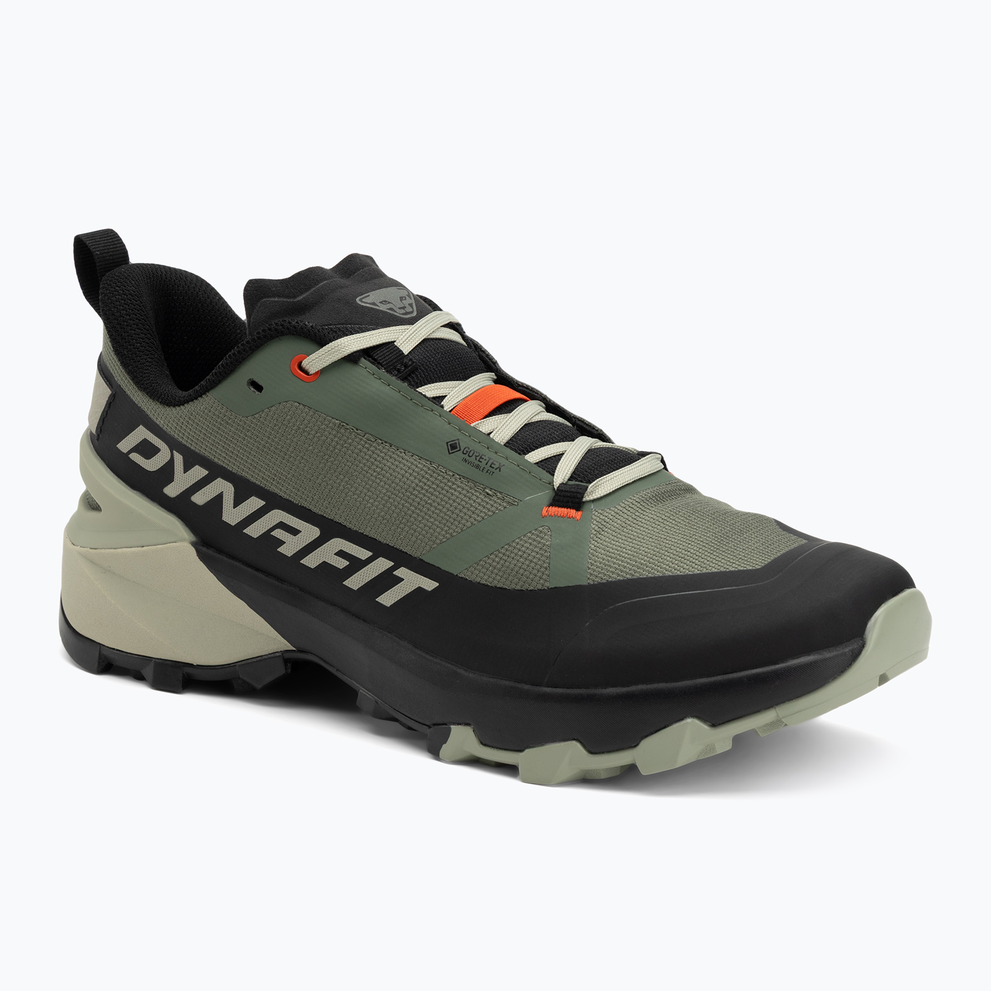Buty do biegania męskie DYNAFIT Transalper 2 GTX black out/thyme 