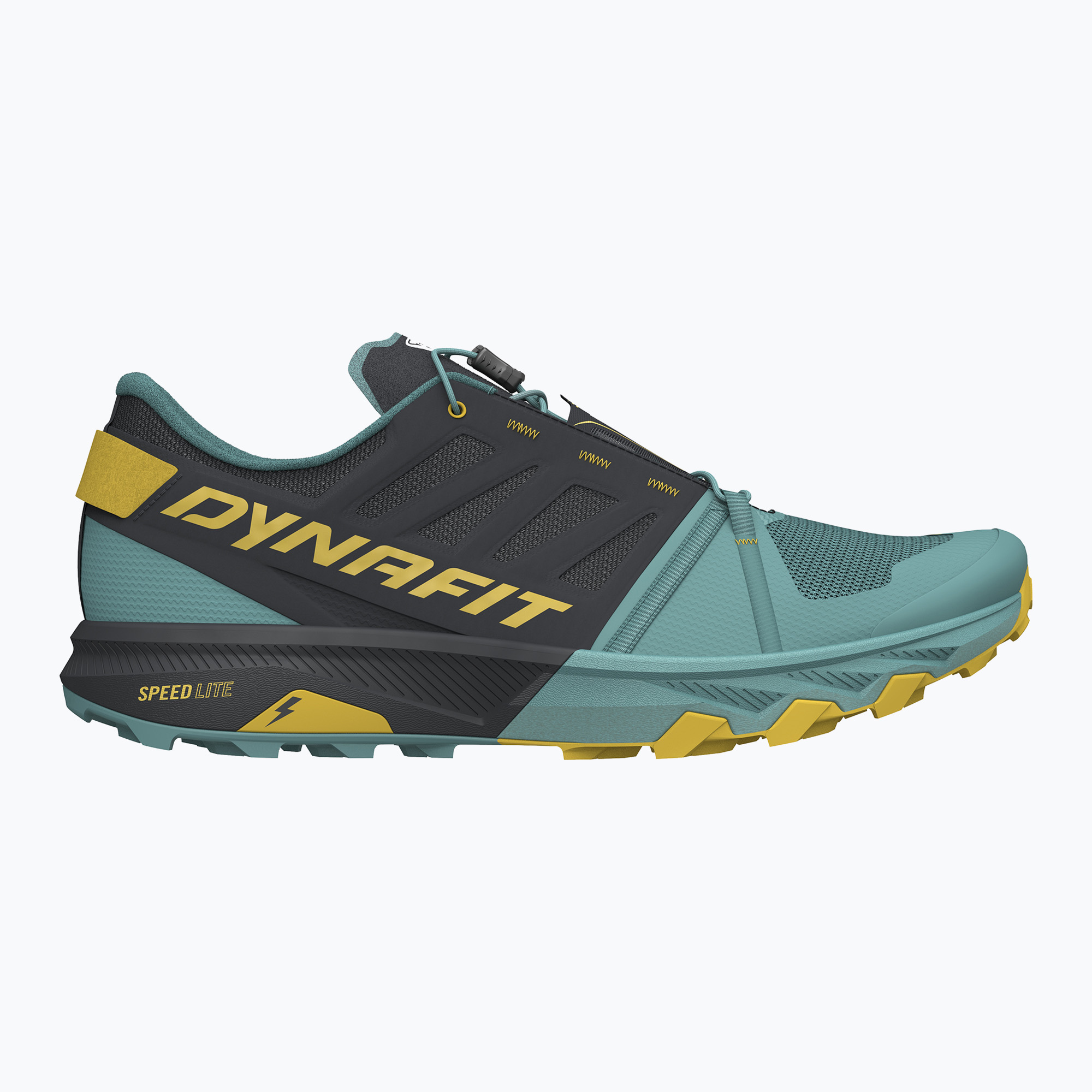 Buty do biegania męskie DYNAFIT Alpine Pro 2 atlantic/black out 