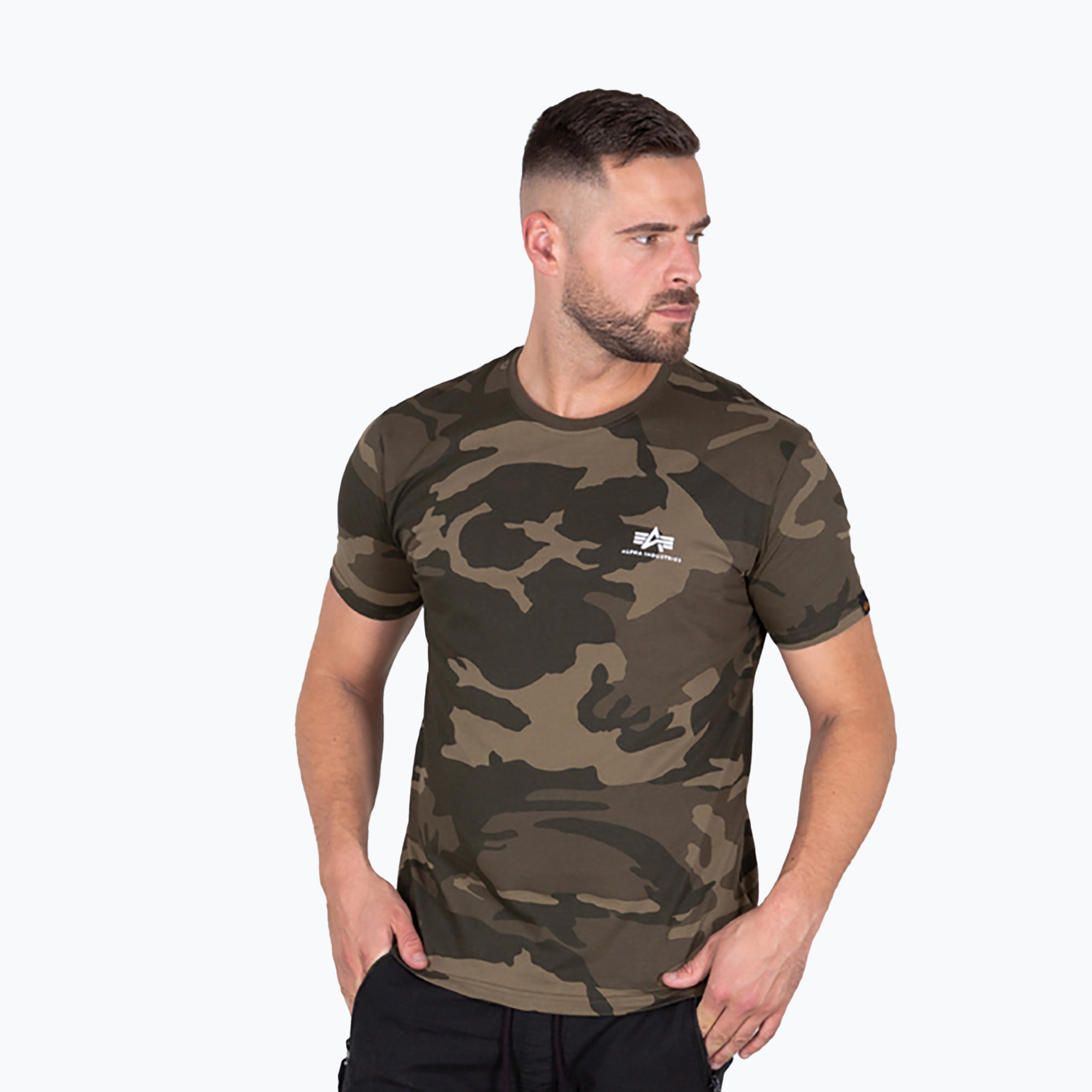 Koszulka męska Alpha Industries Basic Small Logo Camo olive camo 