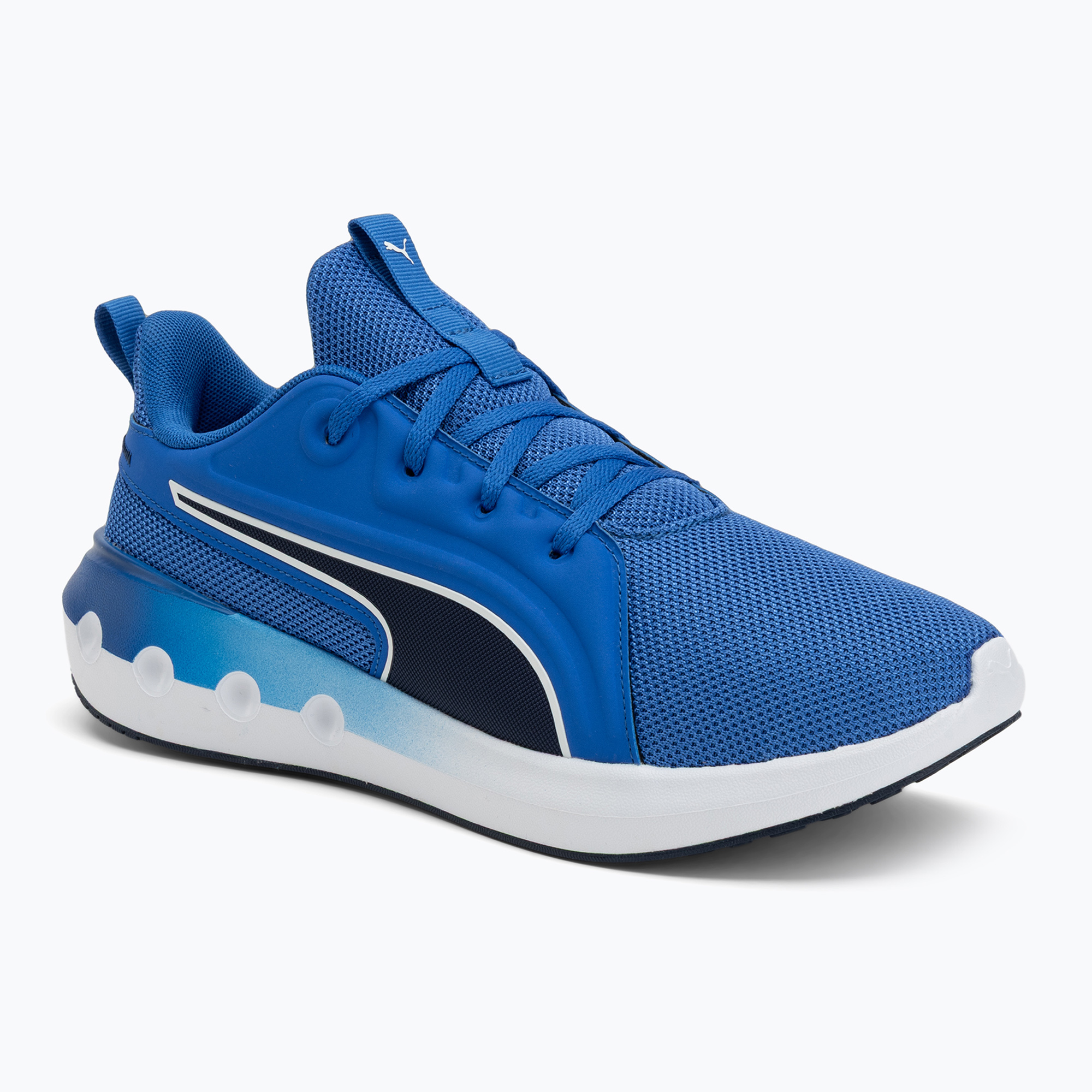 Buty do biegania PUMA Softride Carson vivid blue/puma navy 