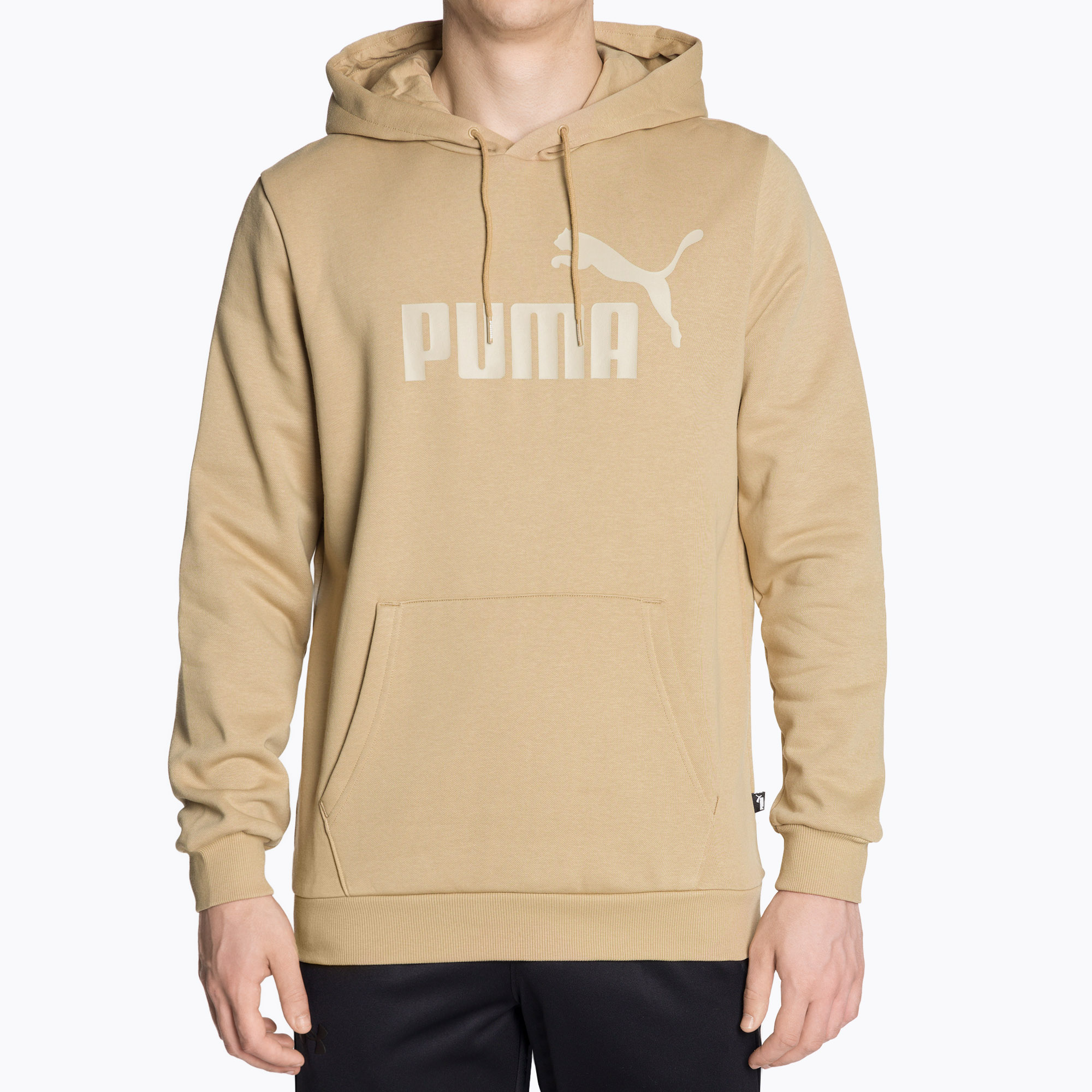 Bluza męska PUMA Essentials Big Logo Hoodie FL prairie tan | WYSYŁKA W 24H | 30 DNI NA ZWROT