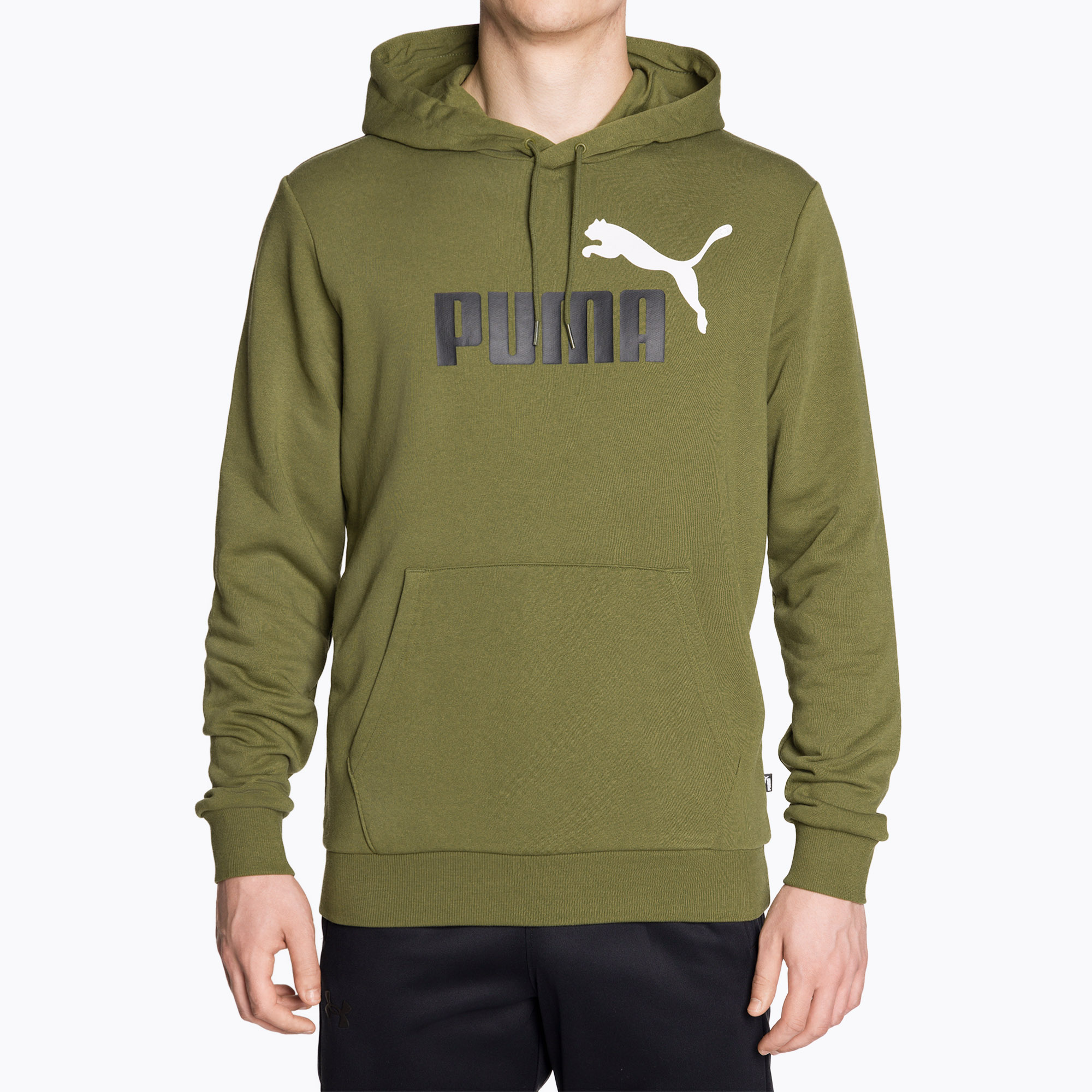 Bluza męska PUMA Essentials+ Two-Tone Big Logo Hoodie TR olive green | WYSYŁKA W 24H | 30 DNI NA ZWROT