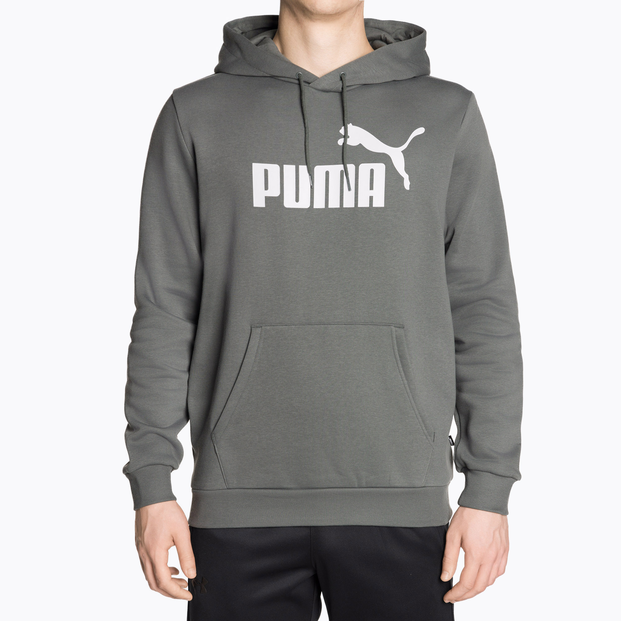 Bluza męska PUMA Essentials Big Logo Hoodie FL mineral gray | WYSYŁKA W 24H | 30 DNI NA ZWROT