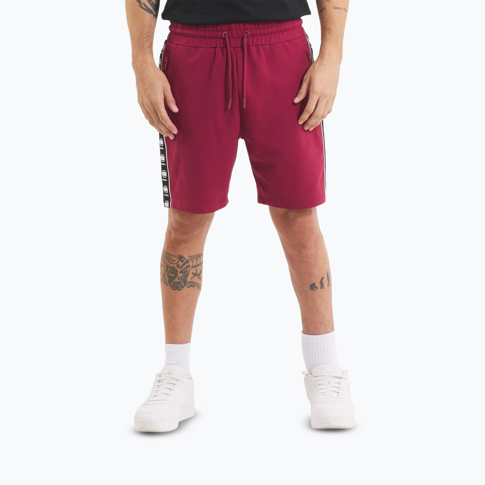 Spodenki męskie Pitbull Tape Nugget burgundy 