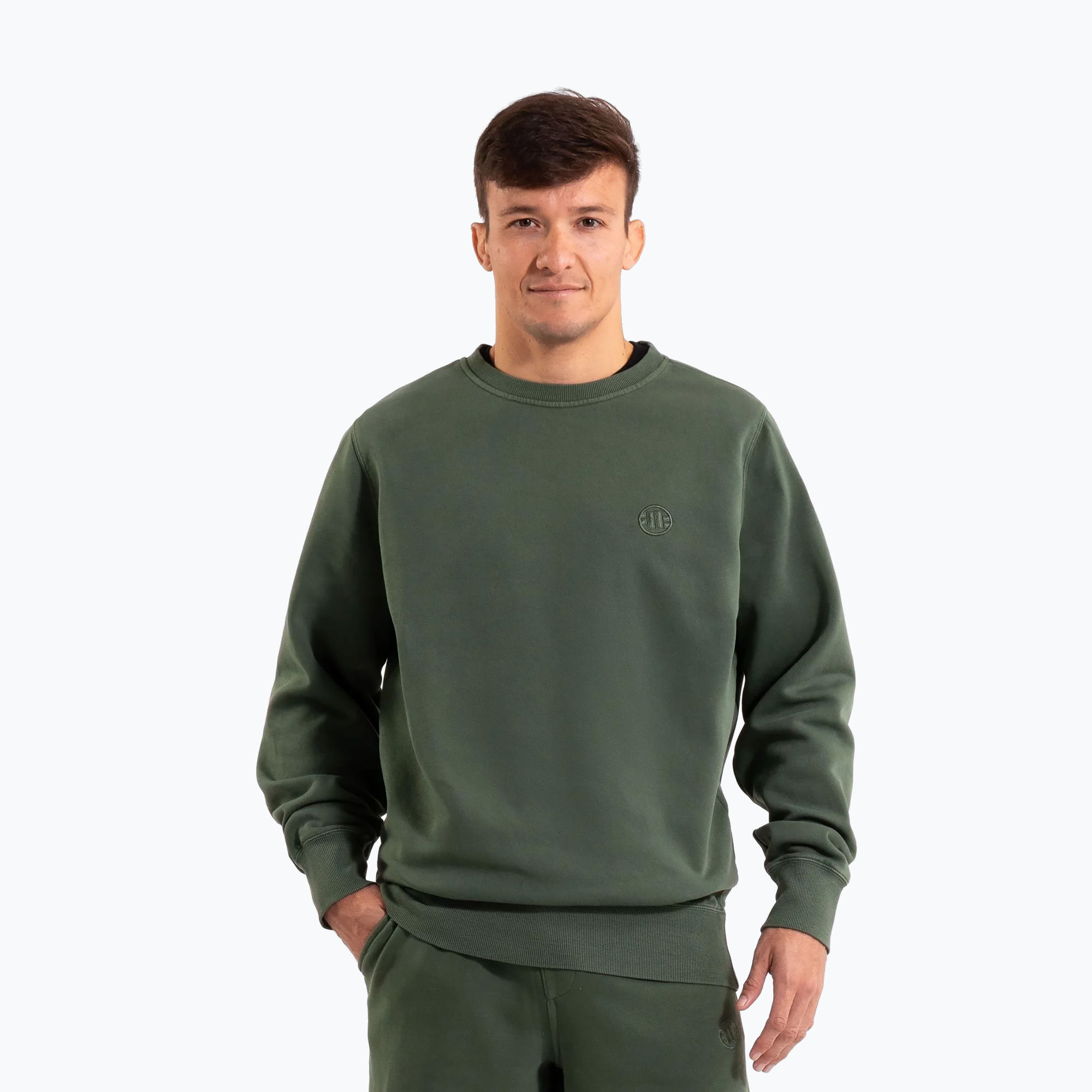 Bluza męska Pitbull Lancaster 2 Crewneck Sweatshirt sage green 