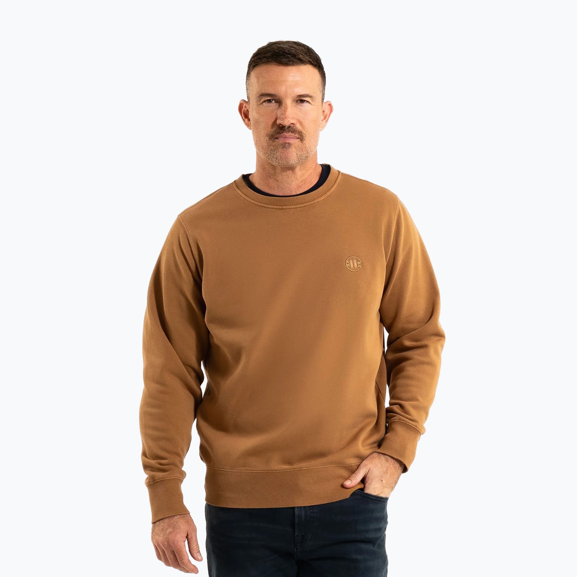 Bluza męska Pitbull Lancaster 2 Crewneck Sweatshirt honey yellow 