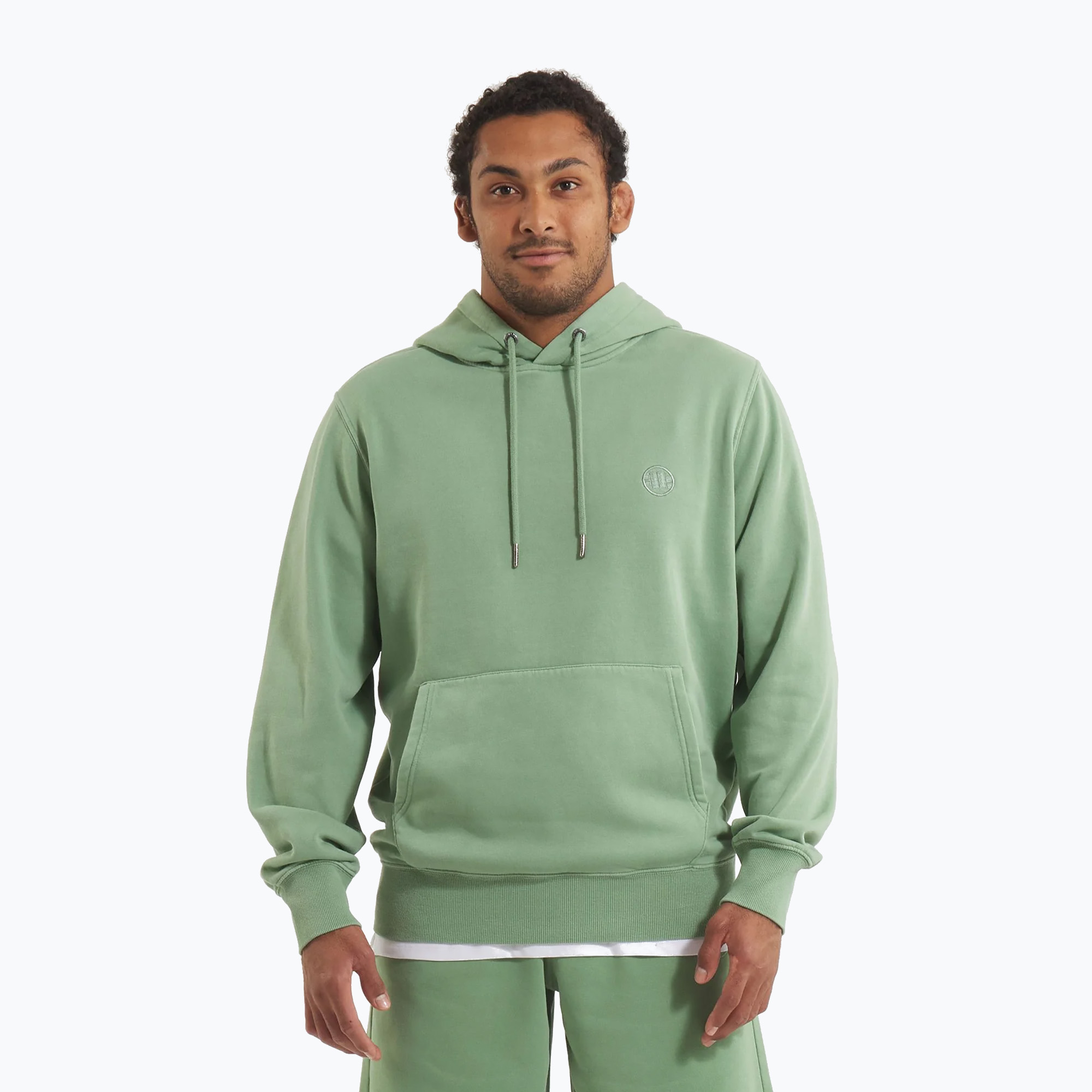 Bluza męska Pitbull Lancaster 2 Hooded Sweatshirt washed green 