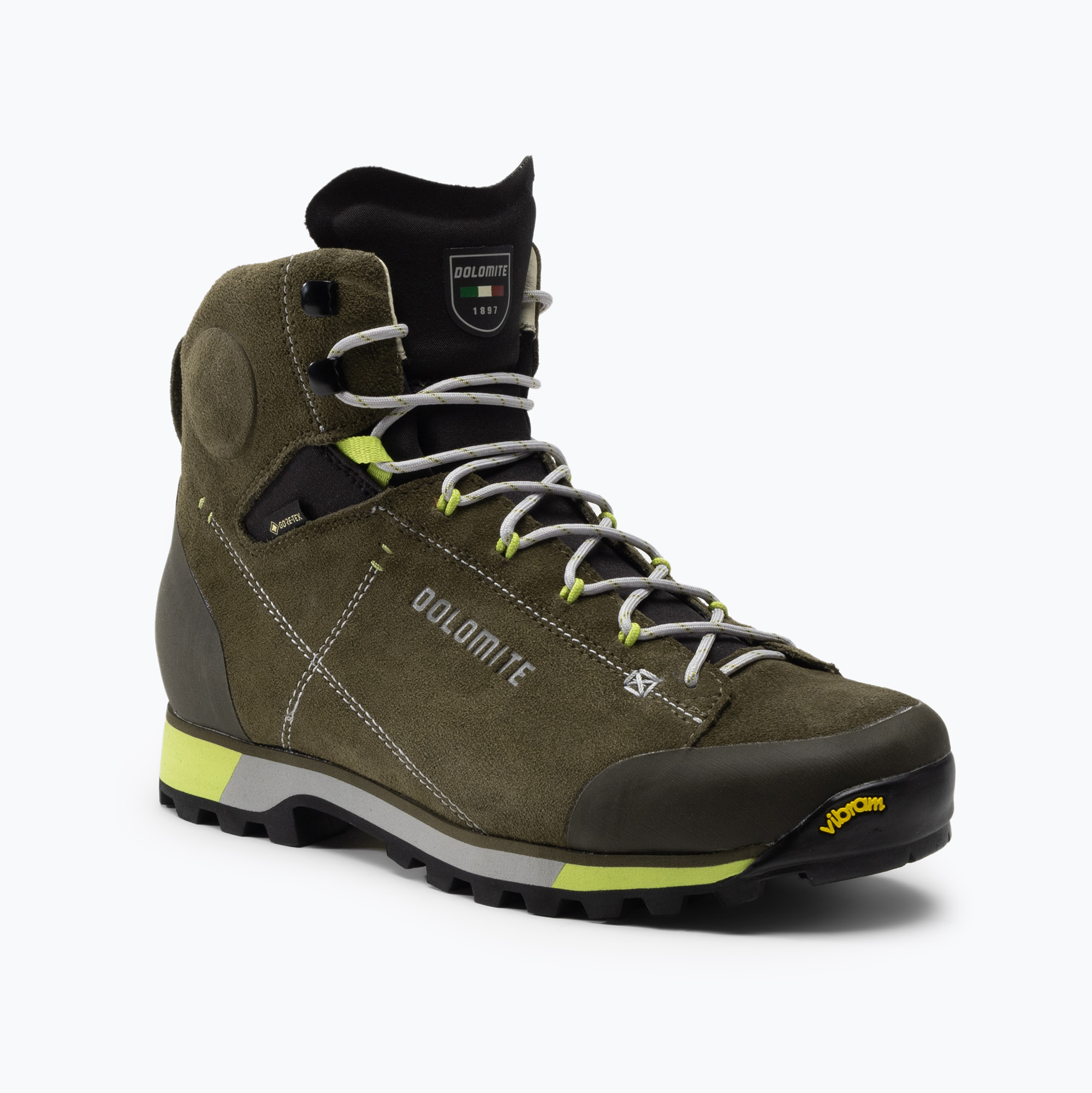 Buty trekkingowe męskie Dolomite 54 Hike Evo GTX mud green/green | WYSYŁKA W 24H | 30 DNI NA ZWROT