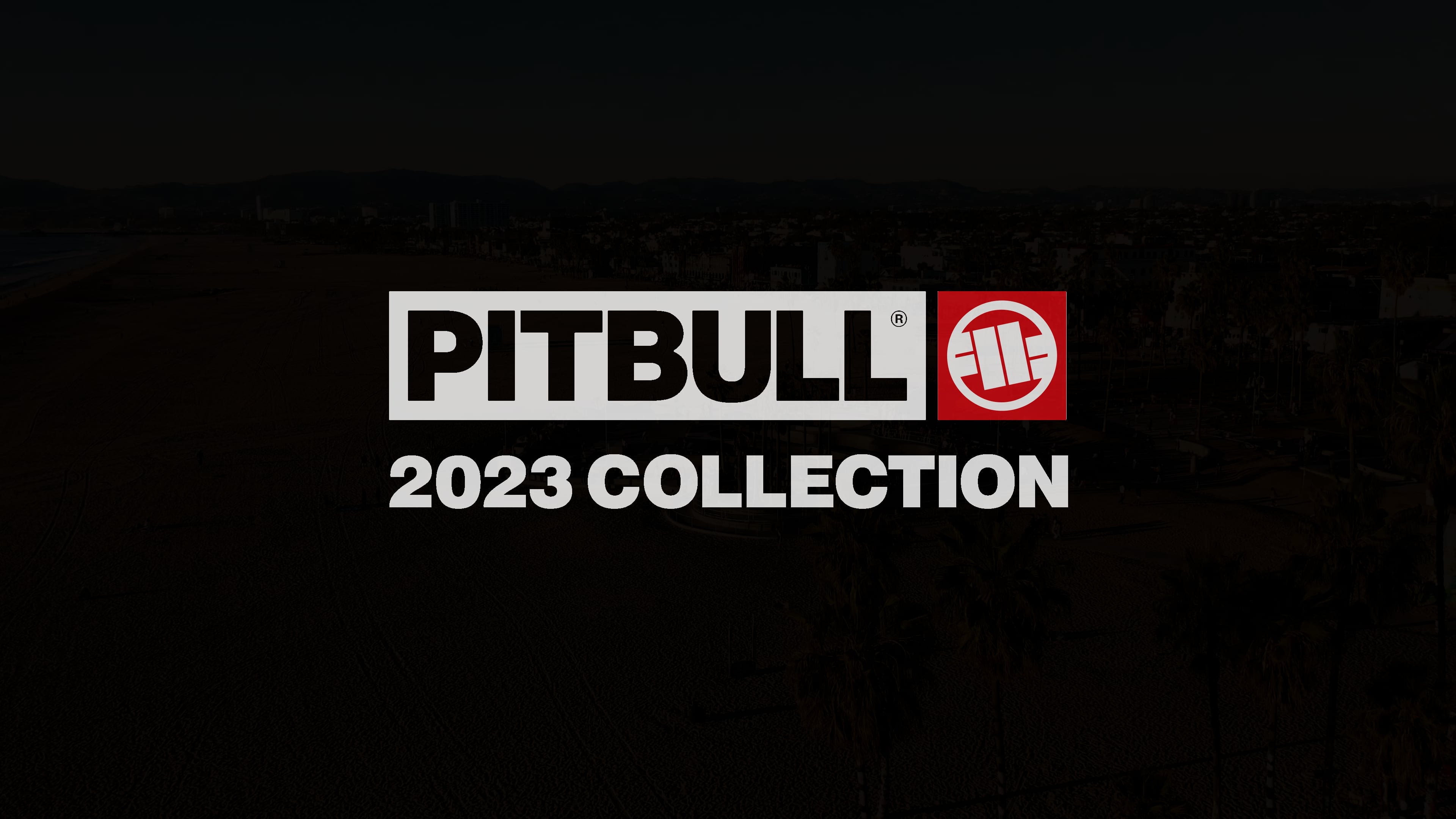 Koszulka męska Pitbull West Coast T-S Hilltop 170 mint