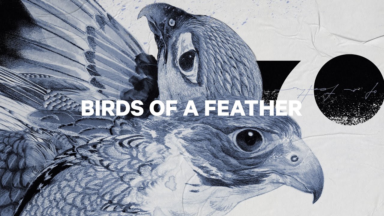 Deska snowboardowa damska CAPiTA Birds Of A Feather Wide