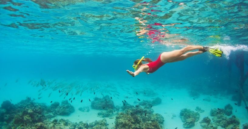 Snorkeling – czym jest? Jak zacząć uprawiać nurkowanie z fajką?