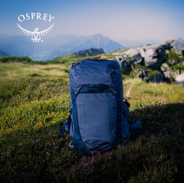 Osprey